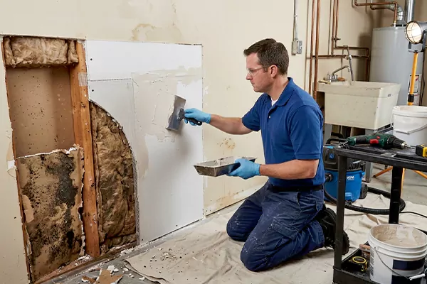 Mold and Drywall Repair El Mirage