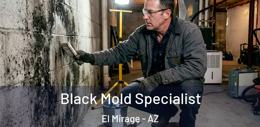  Black Mold Specialist El Mirage - AZ