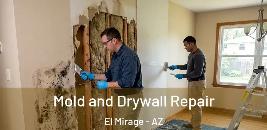  Mold and Drywall Repair El Mirage - AZ