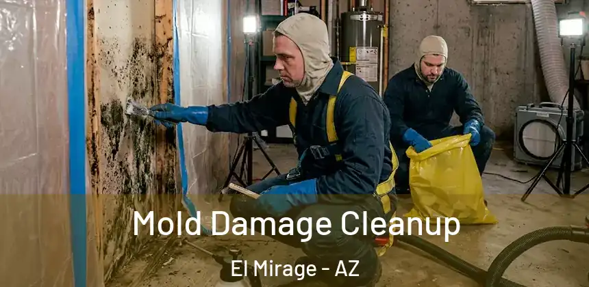  Mold Damage Cleanup El Mirage - AZ