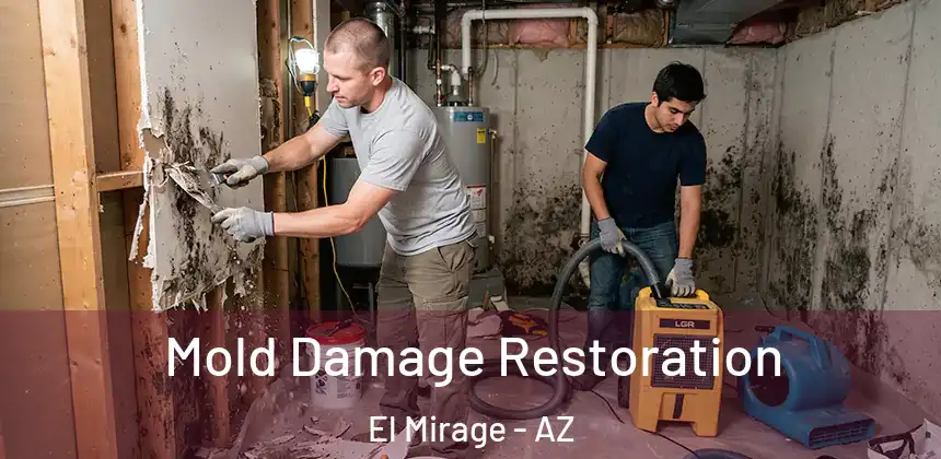Mold Damage Restoration El Mirage - AZ