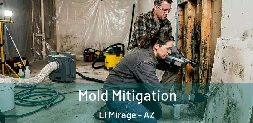 Mold Mitigation El Mirage - AZ