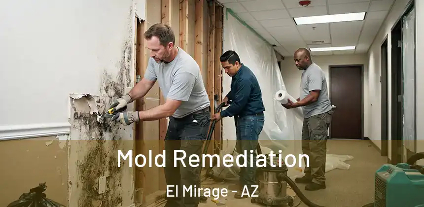 Mold Remediation El Mirage - AZ