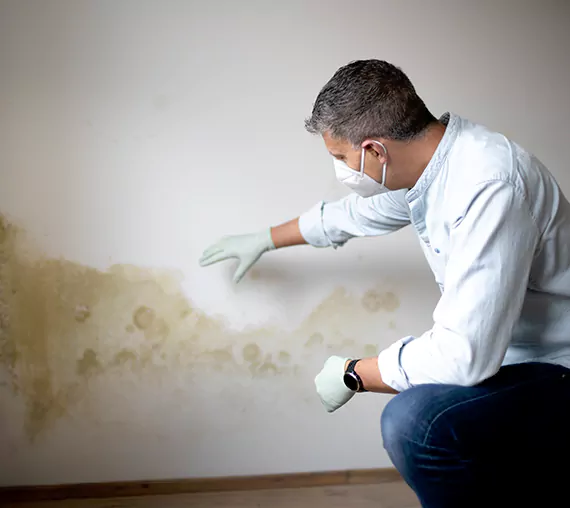 Mold Removal Service in El Mirage, AZ
