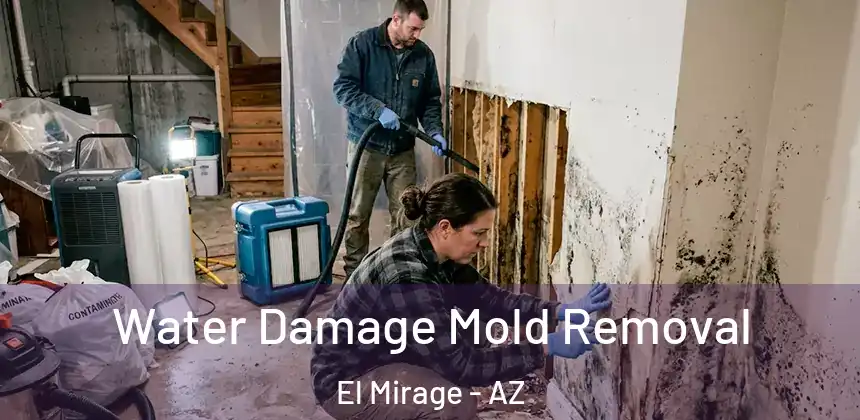  Water Damage Mold Removal El Mirage - AZ